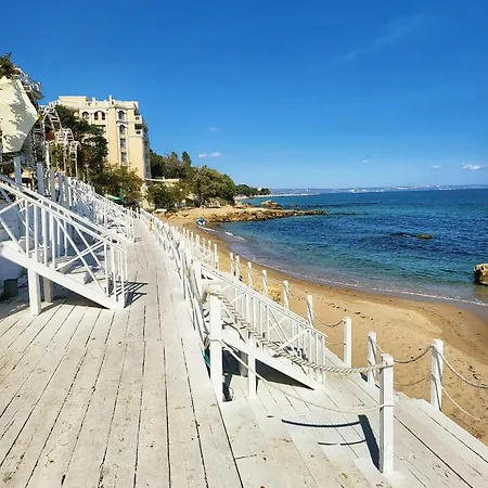 Elegantz Lamer * Varna